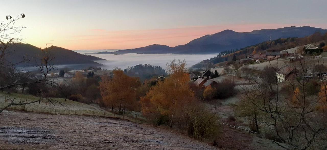 Les Lupins Panzió Geishouse Kültér fotó